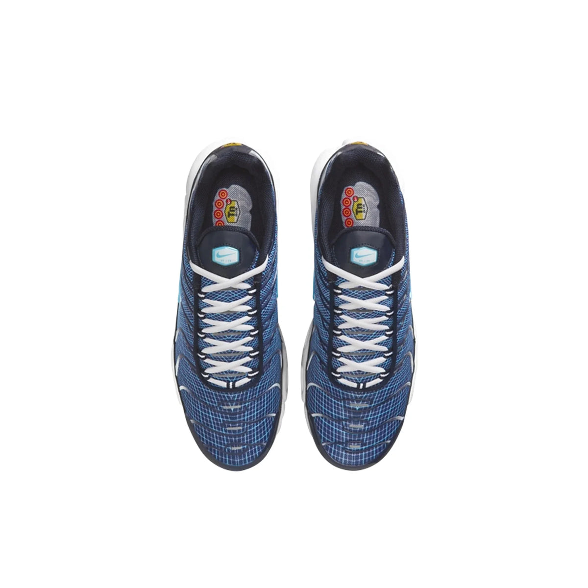 Nike Air Max Plus TN 'Dark Obsidian'