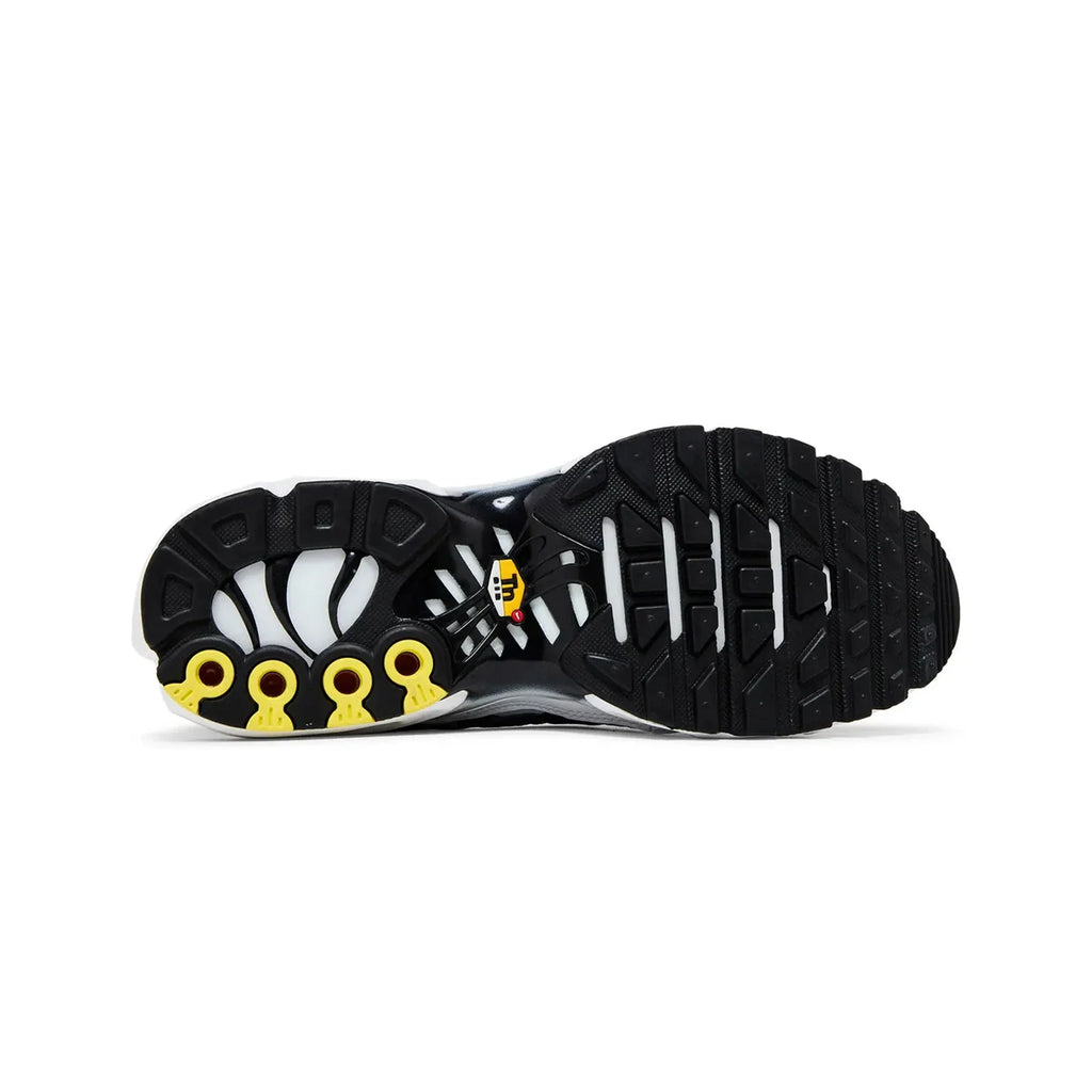 Nike Air Max Plus TN 'Killer Whale' (2020)