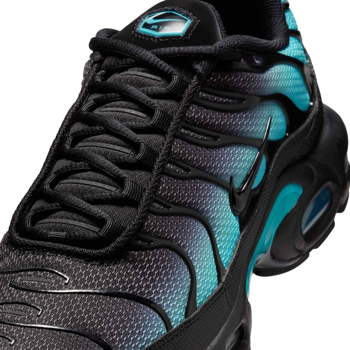 Nike Air Max Plus TN 'Black Dusty Cactus' (2025)